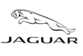 Jaguar hayons électrique de coffre